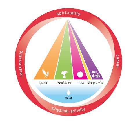 primary-food-pyramid
