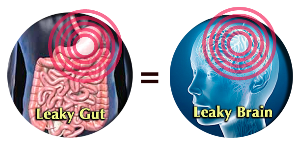 leakygutandleakybrainpic